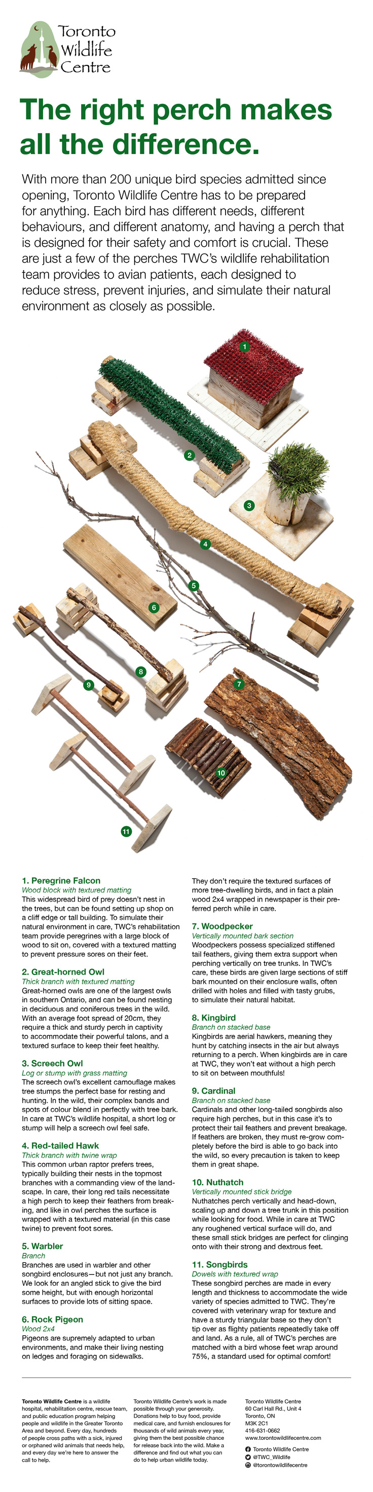 Perches Infographic