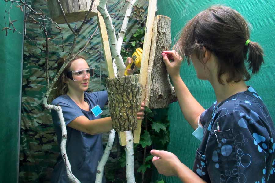 Toronto Wildlife Centre High School Program