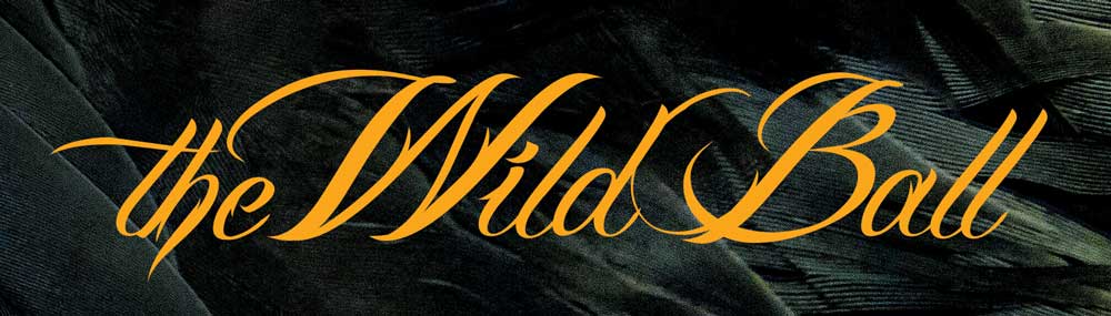 Wild Ball banner