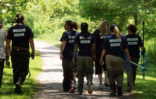 Rescue team walking