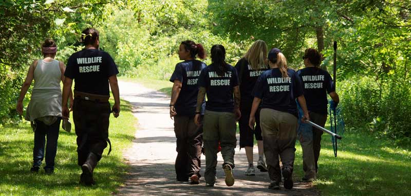 Rescue team walking