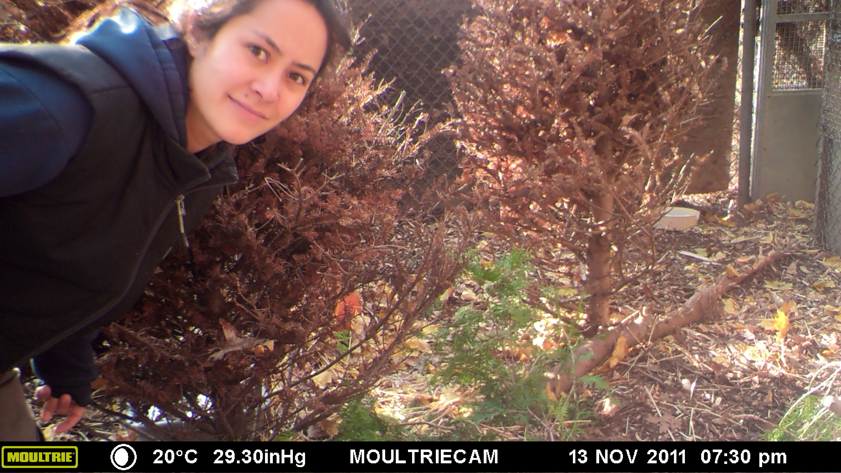 MOULTRIE DIGITAL GAME CAMERA MOULTRIE DIGITAL GAME CAMERA