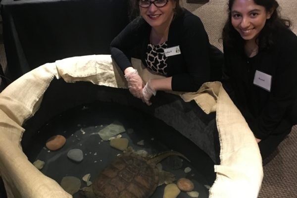 Hotdog, TWC's educational snapping turtle, greets Wild Ball guests.