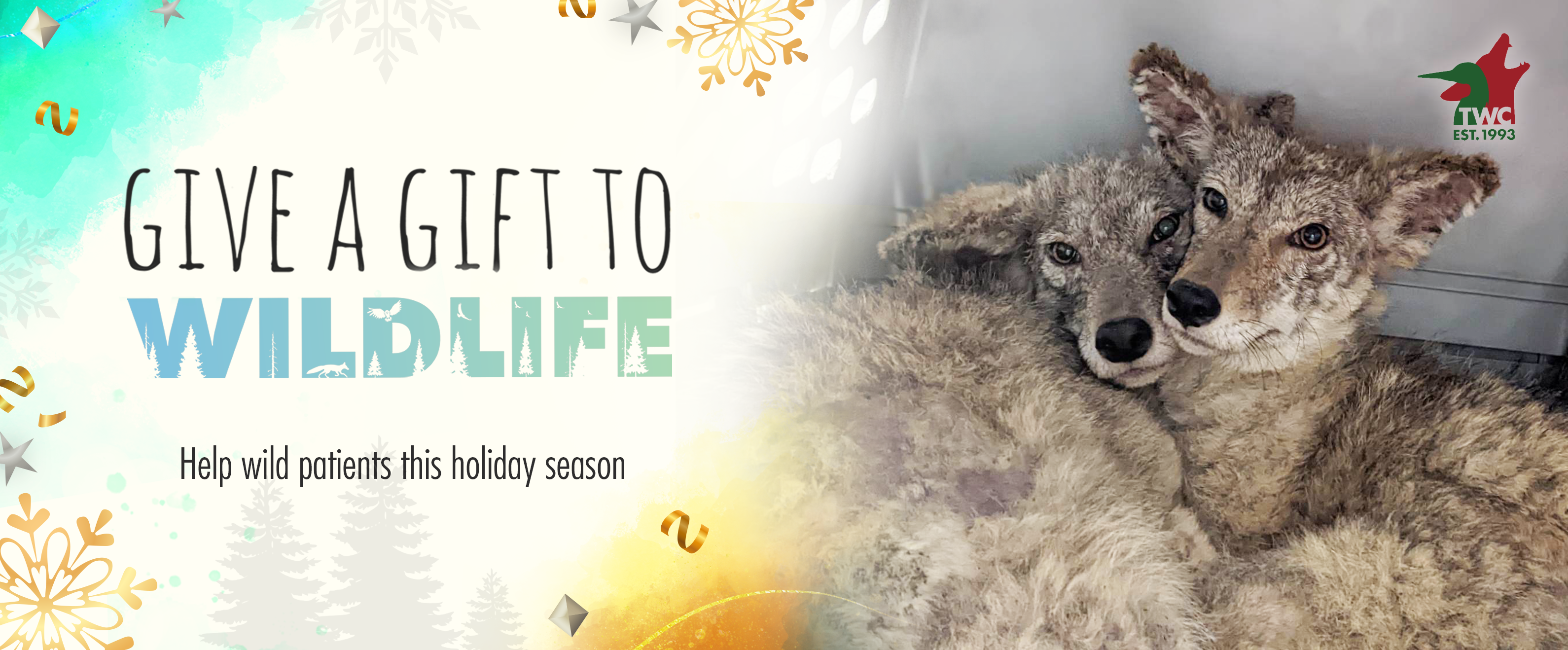Give a Gift to Wildlife – Toronto Wildlife Centre