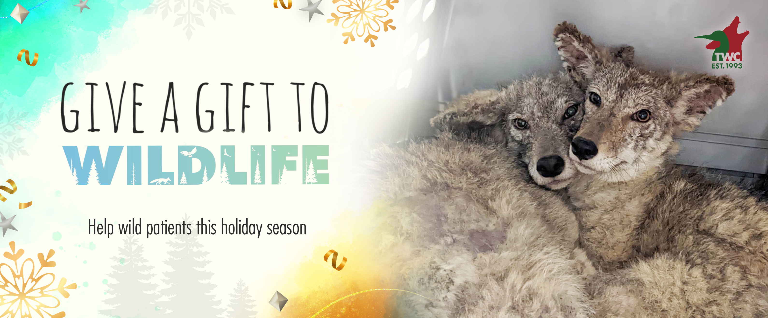 Give a Gift to Wildlife – Toronto Wildlife Centre Give a Gift to Wildlife – Toronto Wildlife Centre